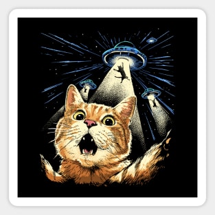 Space Whiskers: The Purrr-fect Abduction Magnet